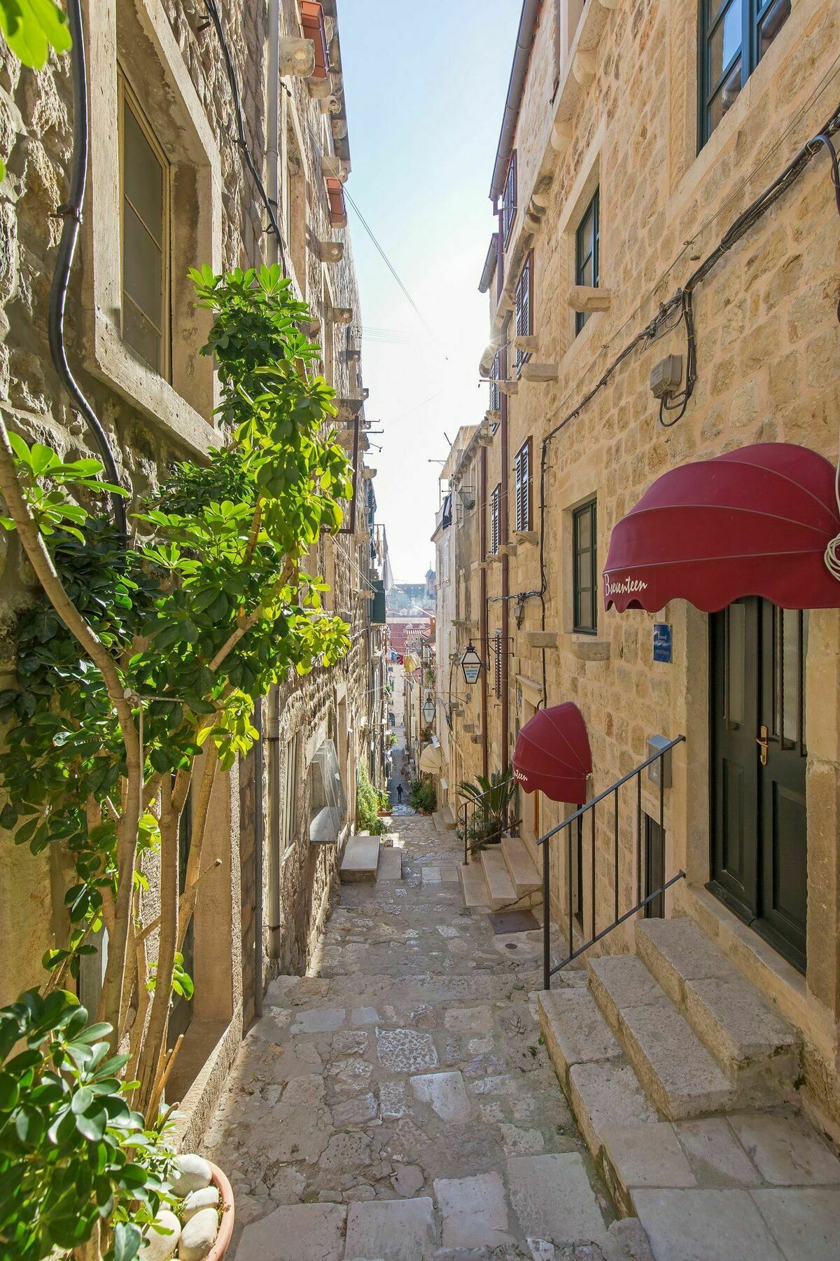 Apartments And Room Le Petit Nono دوبروفينك المظهر الخارجي الصورة